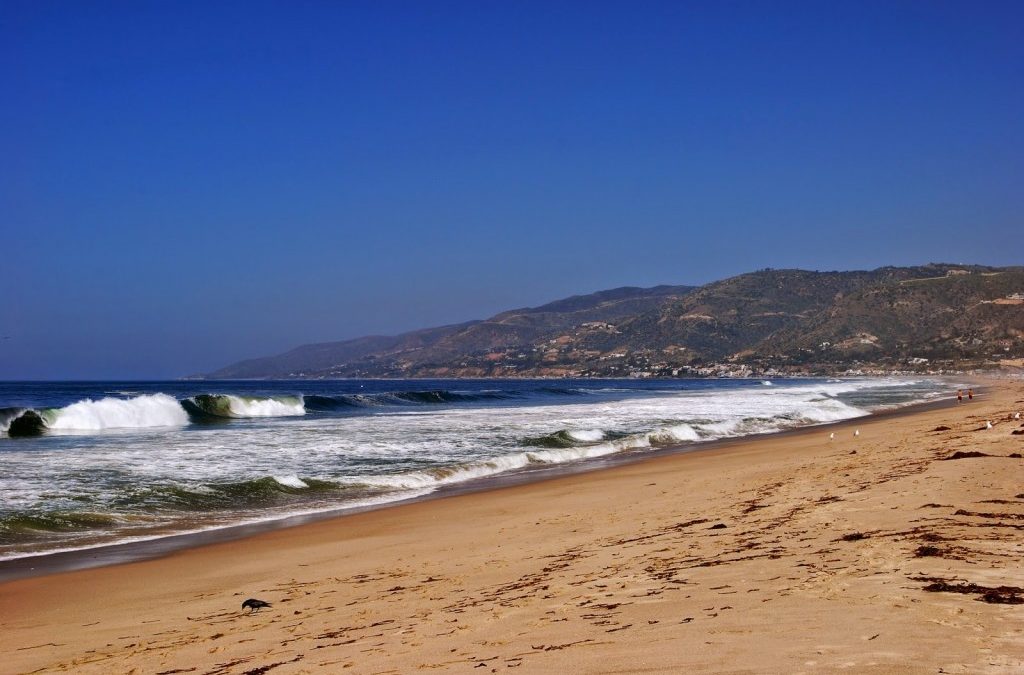 Cleaning begins on our coast