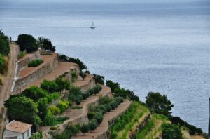 fotografía de Banyalbufar, Mallorca