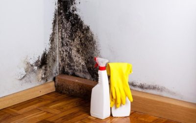 ¿Cómo prevenir moho y hongos en las fachadas de tu hogar o edificio?