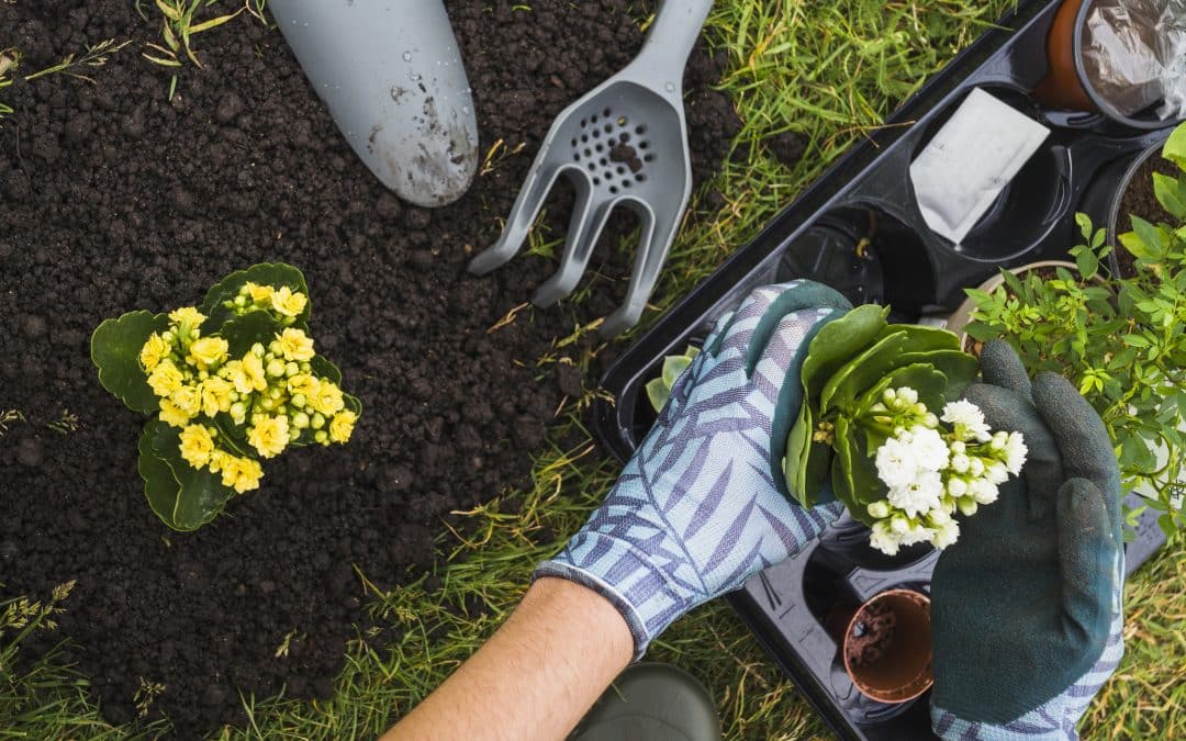 Mantenimiento de Jardines en Primavera. Consejos e Información