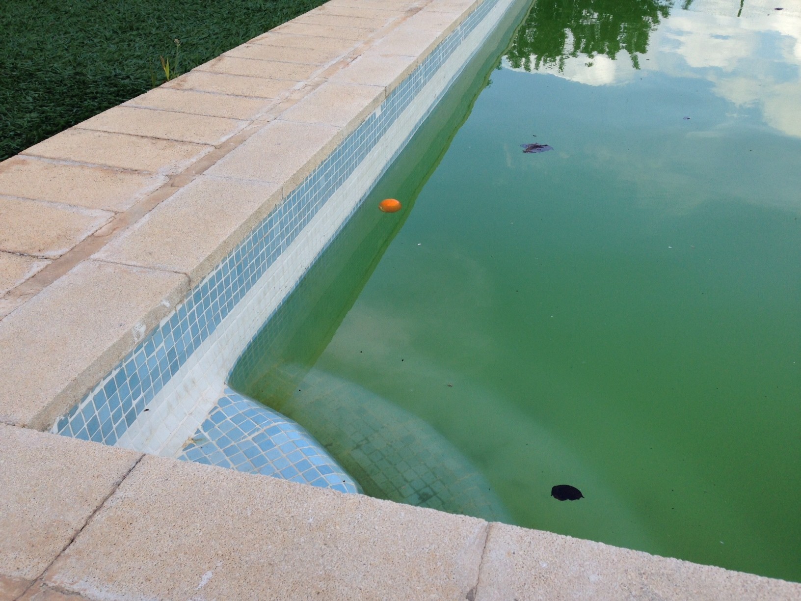 Tratamientos y mantenimiento de piscinas en Mallorca
