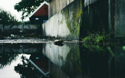 Cómo limpiar una casa después de una inundación pequeña